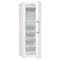 Фото - Морозильна камера Gorenje FN619FEW5 | click.ua