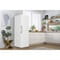 Фото - Морозильна камера Gorenje FN619FEW5 | click.ua