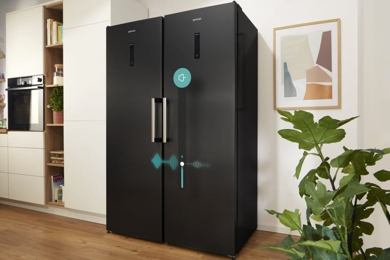 Морозильна камера Gorenje FN619EABK6