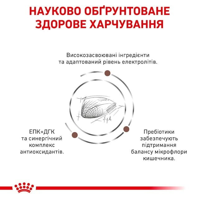 Сухий корм для котів при розладах травлення Royal Canin Gastrointestinal 2 кг (39050201)
