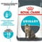 Фото - Сухий корм для котів Royal Canin Urinary Care 400 г (1800004) | click.ua