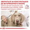 Фото - Сухой корм для собак при заболеваниях опорно-двигательного аппарата Royal Canin Mobility C2P+ 12 кг (4221120) | click.ua