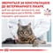 Фото - Сухий корм для кошенят при розладах травлення Royal Canin Gastrointestinal Kitten 400 г (1228004) | click.ua