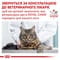 Фото - Сухий корм для кішок Royal Canin Skin and Coat 400 г (1323004) | click.ua