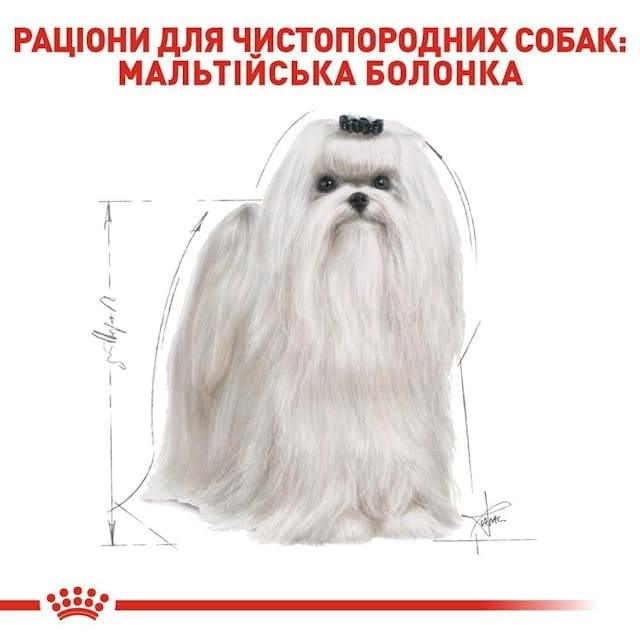 Сухий корм для собак Royal Canin Maltese Adult 500 г (3995005)