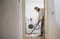Фото - Пылесос Karcher D 5 S V-25/5/22 (1.628-350.0) | click.ua