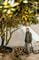 Фото - Пылесос Karcher WD 6 P S V-30/6/22/T (1.628-360.0) | click.ua