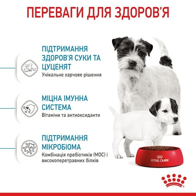 Влажный корм для собак Royal Canin Starter Mousse Mother & Babydog 195 г (4077002)