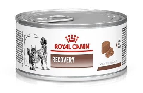 Влажный корм для собак и кошек в период восстановления после болезни Royal Canin Recovery 195 г (40550021)