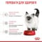 Фото - Вологий корм для котів Royal Canin Mother & Babycat Ultra soft mousse 195 г (4098002) | click.ua