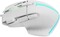 Фото - Мышь Canyon Fortnax GM-636 RGB USB White (CND-SGM636W) | click.ua