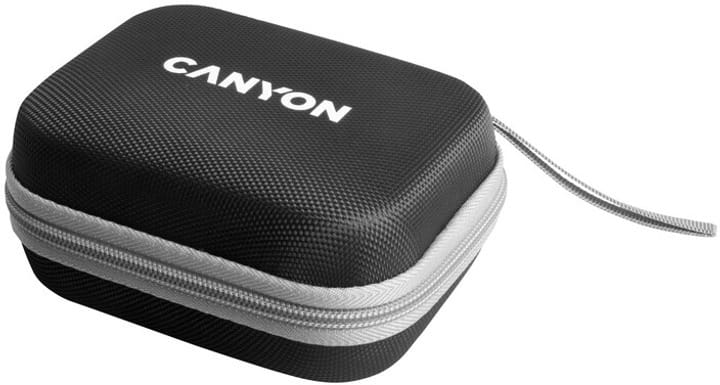 Беспроводное зарядное устройство Canyon WS-305 15W Black (CNS-WCS305B)