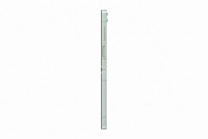 Смартфон Samsung Galaxy Flip6 SM-F741 512GB Mint (SM-F741BLGHSEK)
