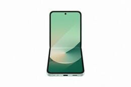 Смартфон Samsung Galaxy Flip6 SM-F741 512GB Mint (SM-F741BLGHSEK)