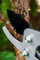 Фото - Сучкорез NEO Tools 765 мм (15-251) | click.ua