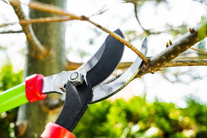 Сучкорез Verto 680 мм (15G252)