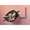 Фото - Фен Shark SpeedStyle 5-in-1 HD352EU | click.ua