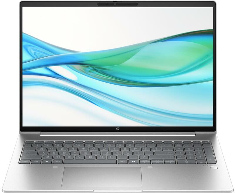 Ноутбук HP ProBook 460 G11 (8Z677AV_V2) Silver