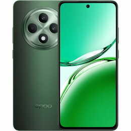 Смартфон Oppo Reno12 FS 12/512GB Black Green