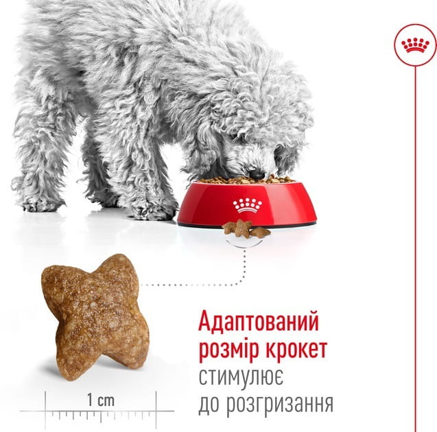 Сухой корм для собак мелких пород весом до 10 кг от 10 месяцев Royal Canin Mini Adult 800 г (30010800)