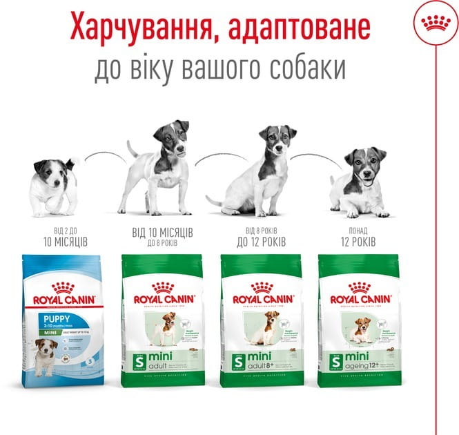 Сухий корм для собак дрібних порід вагою до 10 кг від 10 місяців Royal Canin Mini Adult 800 г (30010800)