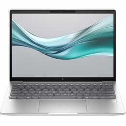 Ноутбук HP EliteBook 630 G11 (900X9AV_V3) Silver