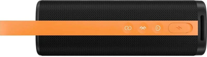 Акустическая система Xiaomi Sound Outdoor Global Black (QBH4261GL)_EU