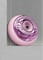 Фото - Звуковой массажер для лица и тела Geske Sonic Cool & Warm Face and Body Massager 9 в 1 Pink (GK000699PK01) | click.ua