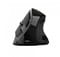 Фото - Миша бездротова Trust Voxx Rechargeable Ergonomic Black (23731_TRUST) | click.ua