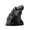 Фото - Мышь беспроводная Trust Voxx Rechargeable Ergonomic Black (23731_TRUST) | click.ua