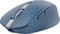 Фото - Мышь беспроводная Trust Ozaa Compact Blue (24934) | click.ua