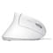 Фото - Миша Trust Verto Ergonomic White (25133) | click.ua
