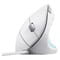 Фото - Миша Trust Verto Ergonomic White (25133) | click.ua