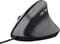 Фото - Миша Trust Bayo 2 Ergonomic Black (25144) | click.ua