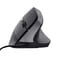 Фото - Миша Trust Bayo 2 Ergonomic Black (25144) | click.ua