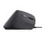 Фото - Миша Trust Bayo 2 Ergonomic Black (25144) | click.ua