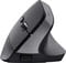 Фото - Мышь Bluetooth Trust Bayo 2 Ergonomic Black (25146_TRUST) | click.ua