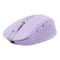 Фото - Миша бездротова Trust Ozaa Compact Multi-Device Purple (25384) | click.ua