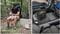 Фото - Зарядна станція Genergy GZE-0810 1000W | click.ua