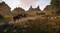 Фото - Гра Kingdom Come: Deliverance 2 для Sony PlayStation 5, Blu-ray (1143937) | click.ua