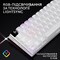 Фото - Клавiатура бездротова Logitech G PRO X 60 TKL GX Optical Tactile White (920-011930) | click.ua