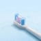 Фото - Зубна електрощітка Xiaomi Smart Electric Toothbrush T501 White | click.ua
