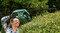 Фото - Кущоріз Bosch EasyHedgeCut 55 450Вт 55см крок різу 16мм 2.7кг(0.600.847.C02) | click.ua