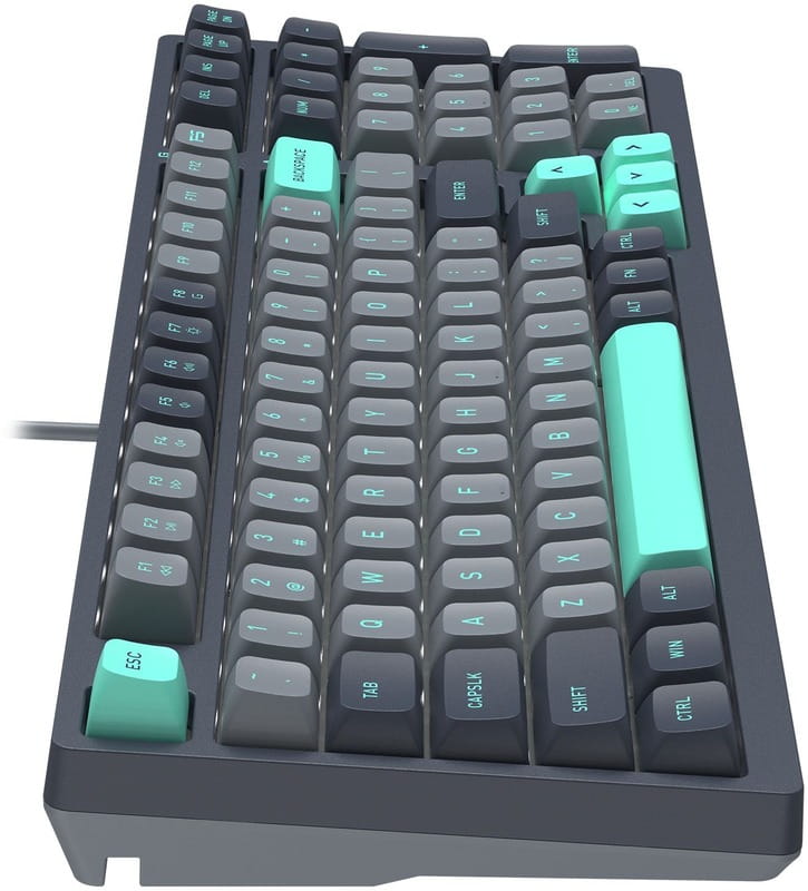 Клавіатура A4Tech Fstyler FS300 Panda Rock Climbing