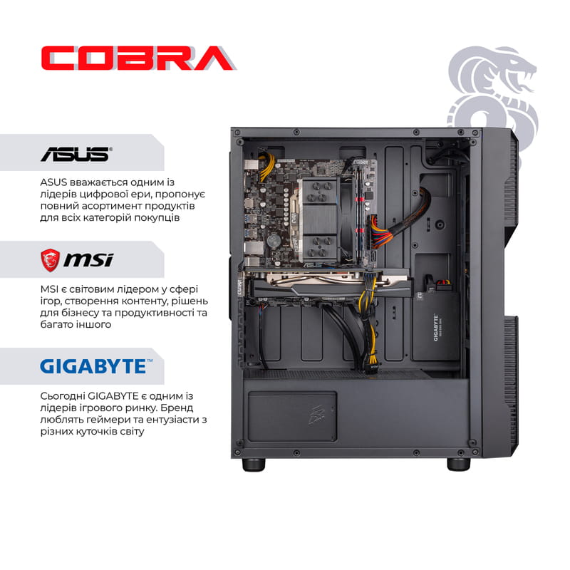 Персональний комп`ютер COBRA Advanced (A36X.16.S5.665XT.19703)