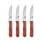 Фото - Набір ножів Bergner Bbq lovers BG-40201-MM | click.ua