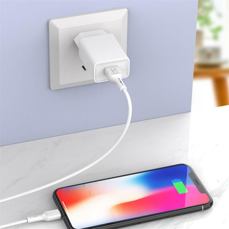 Зарядное устройство SkyDolphin SC36T (1USB, 2.4A) White (SDMZP-000117) + кабель Type-C