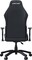 Фото - Кресло для геймеров Anda Seat Luna Size L  Black (AD18-44-B-PV/C) | click.ua
