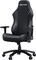 Фото - Кресло для геймеров Anda Seat Luna Size L  Black (AD18-44-B-PV/C) | click.ua