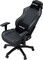Фото - Кресло для геймеров Anda Seat Luna Size L  Black (AD18-44-B-PV/C) | click.ua